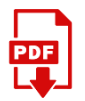 PDF Flyer Icon